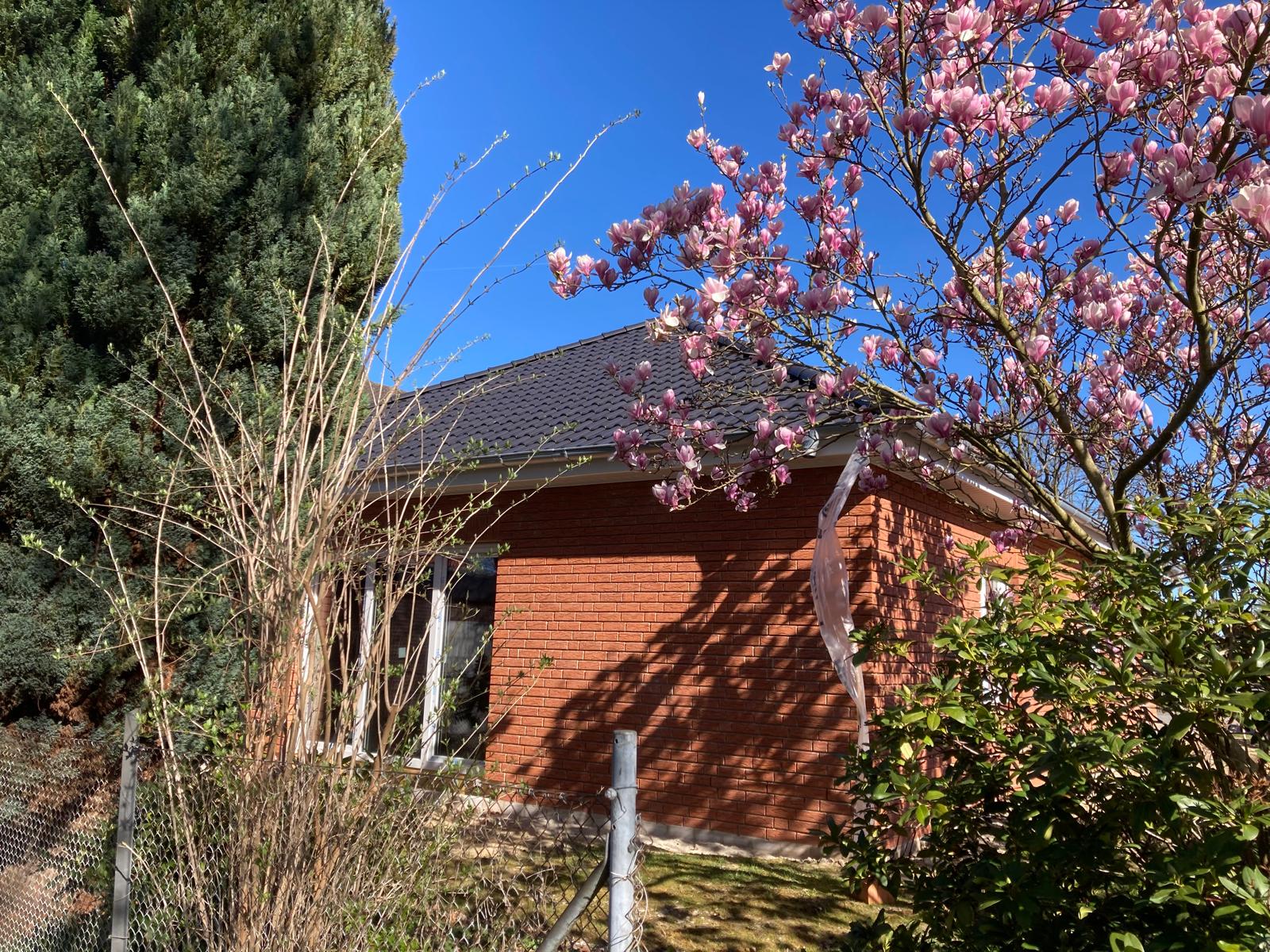 kuehn-massivbau-bauvorhaben-502-neubau-bungalow_06